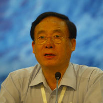 中国电机工程学会理事长,国家电网公司高级顾问